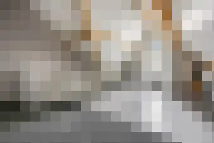 De Maalsteen 10 Kootwijkerbroek thumbnail 36