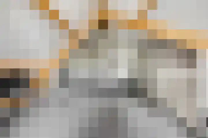 De Maalsteen 10 Kootwijkerbroek thumbnail 37