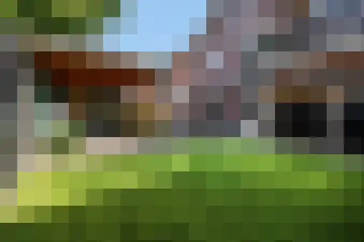 De Maalsteen 10 Kootwijkerbroek thumbnail 4