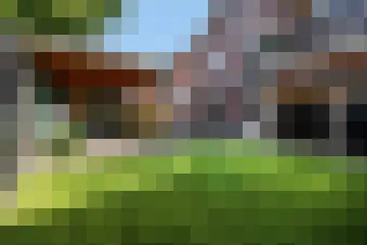 De Maalsteen 10 Kootwijkerbroek thumbnail 40