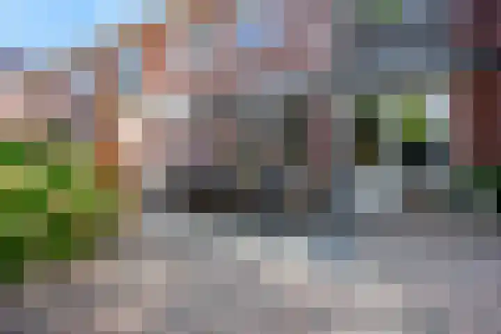 De Maalsteen 10 Kootwijkerbroek thumbnail 41