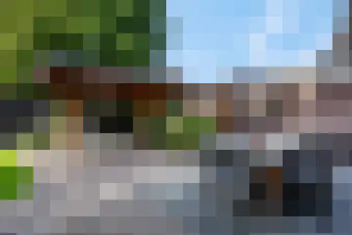 De Maalsteen 10 Kootwijkerbroek thumbnail 42