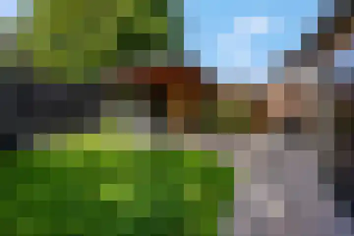 De Maalsteen 10 Kootwijkerbroek thumbnail 43