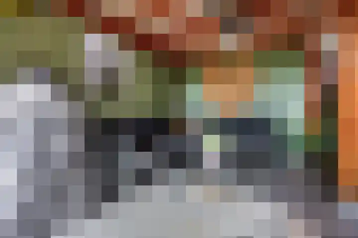De Maalsteen 10 Kootwijkerbroek thumbnail 44
