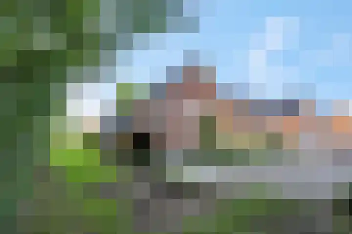 De Maalsteen 10 Kootwijkerbroek thumbnail 7