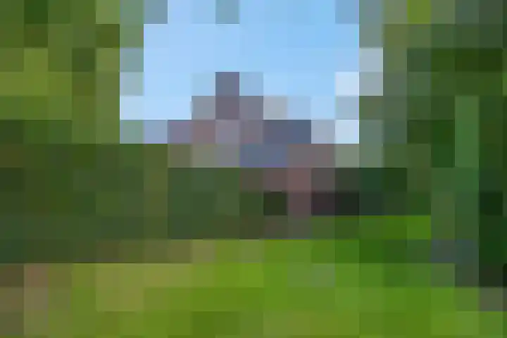 De Maalsteen 10 Kootwijkerbroek thumbnail 8