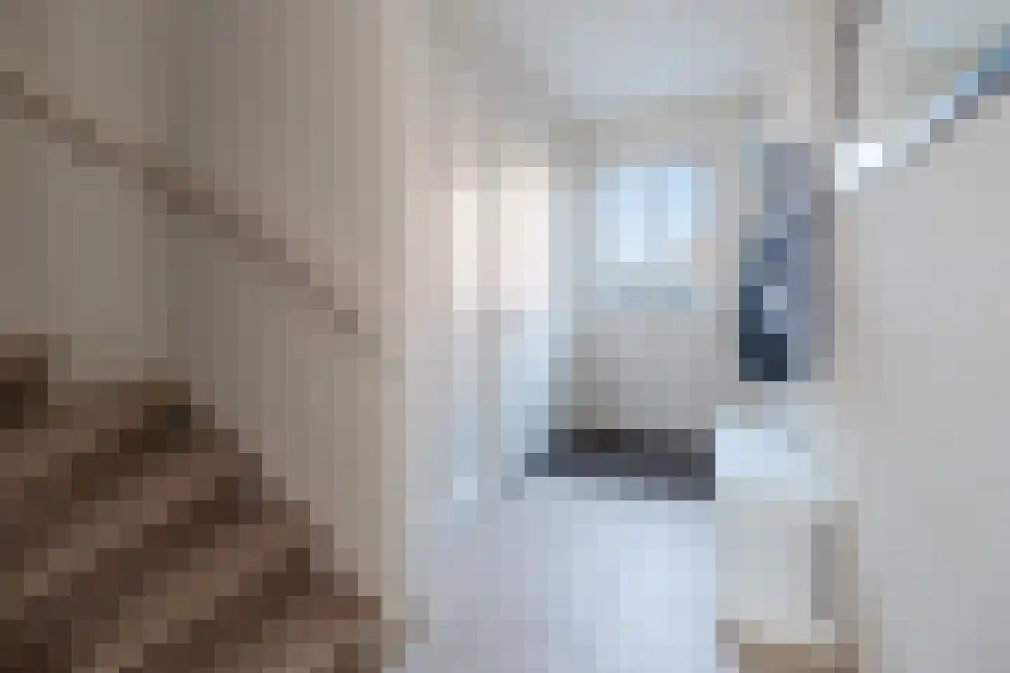 De Maalsteen 3 Kootwijkerbroek thumbnail 16