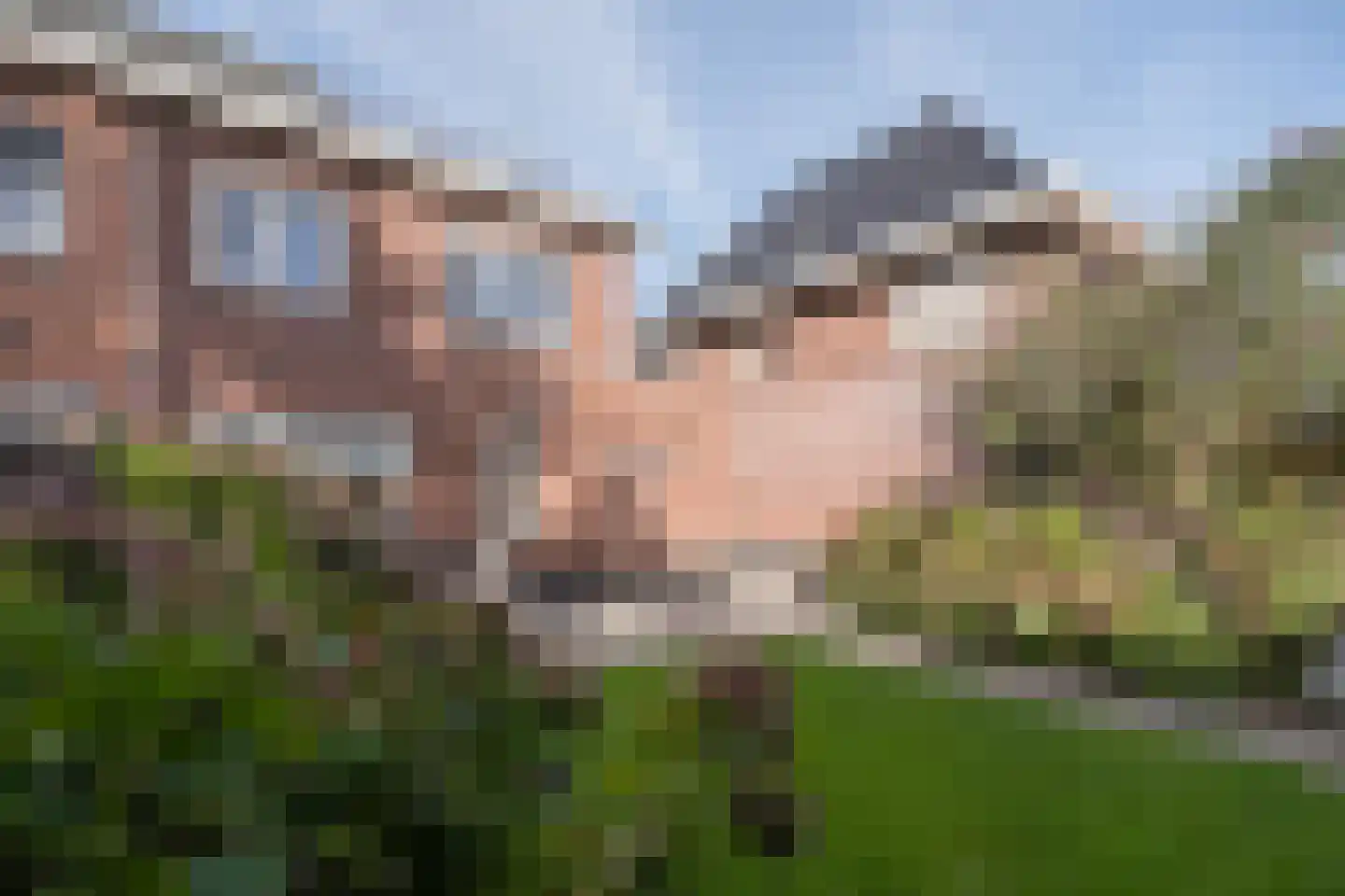De Maalsteen 3 Kootwijkerbroek thumbnail 43