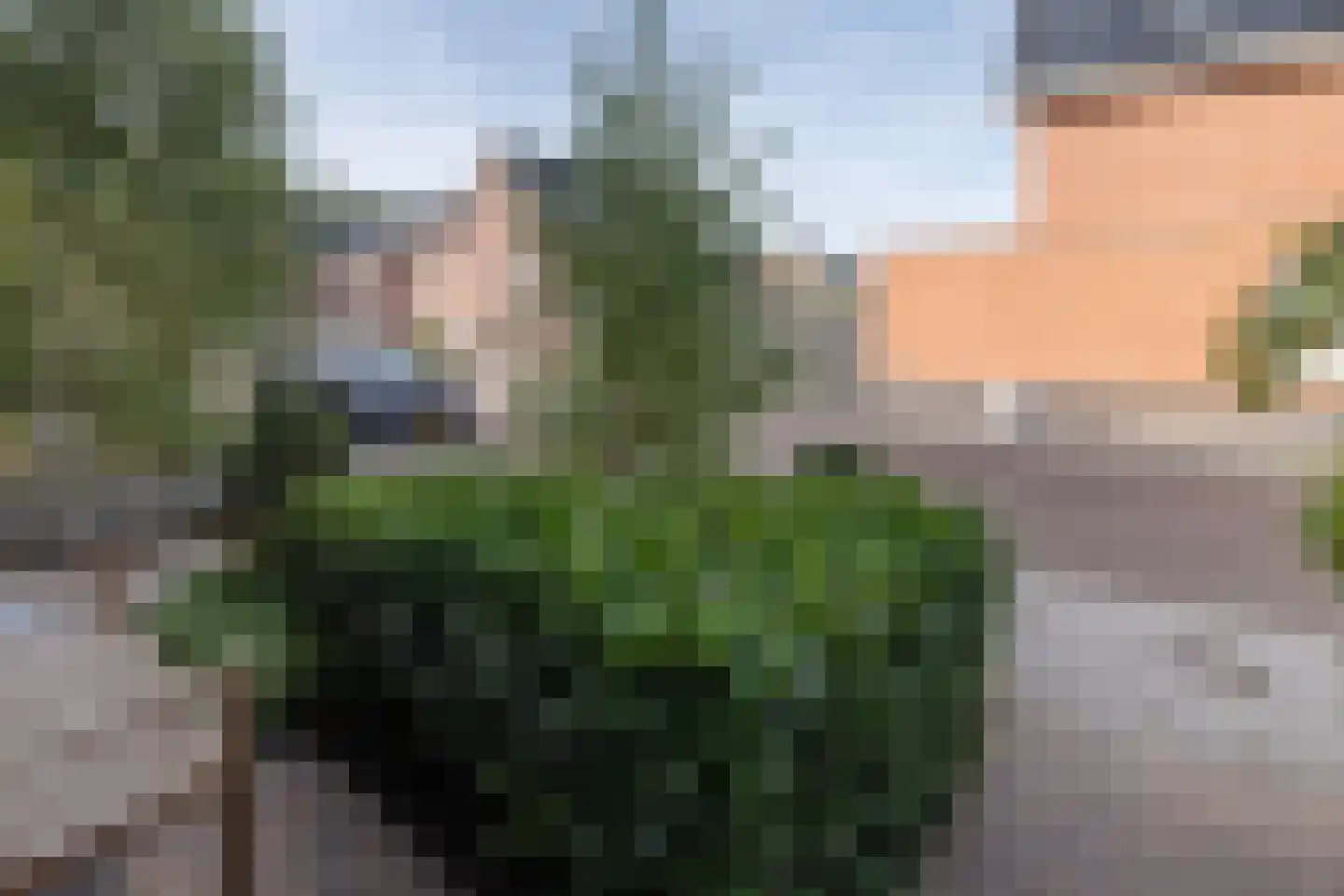 De Maalsteen 3 Kootwijkerbroek thumbnail 45