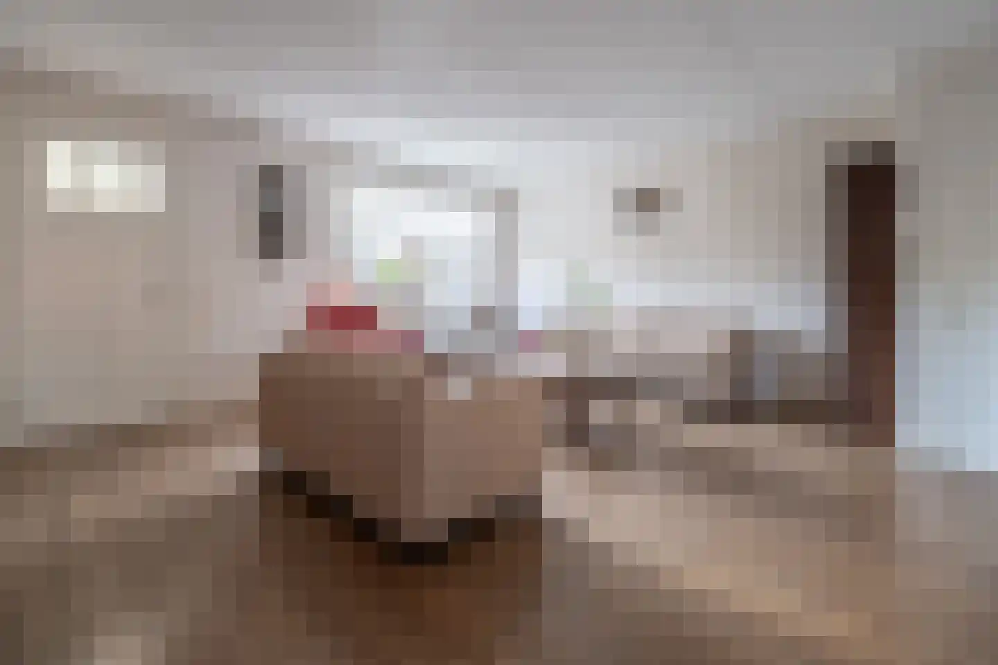 De Maalsteen 3 Kootwijkerbroek thumbnail 6