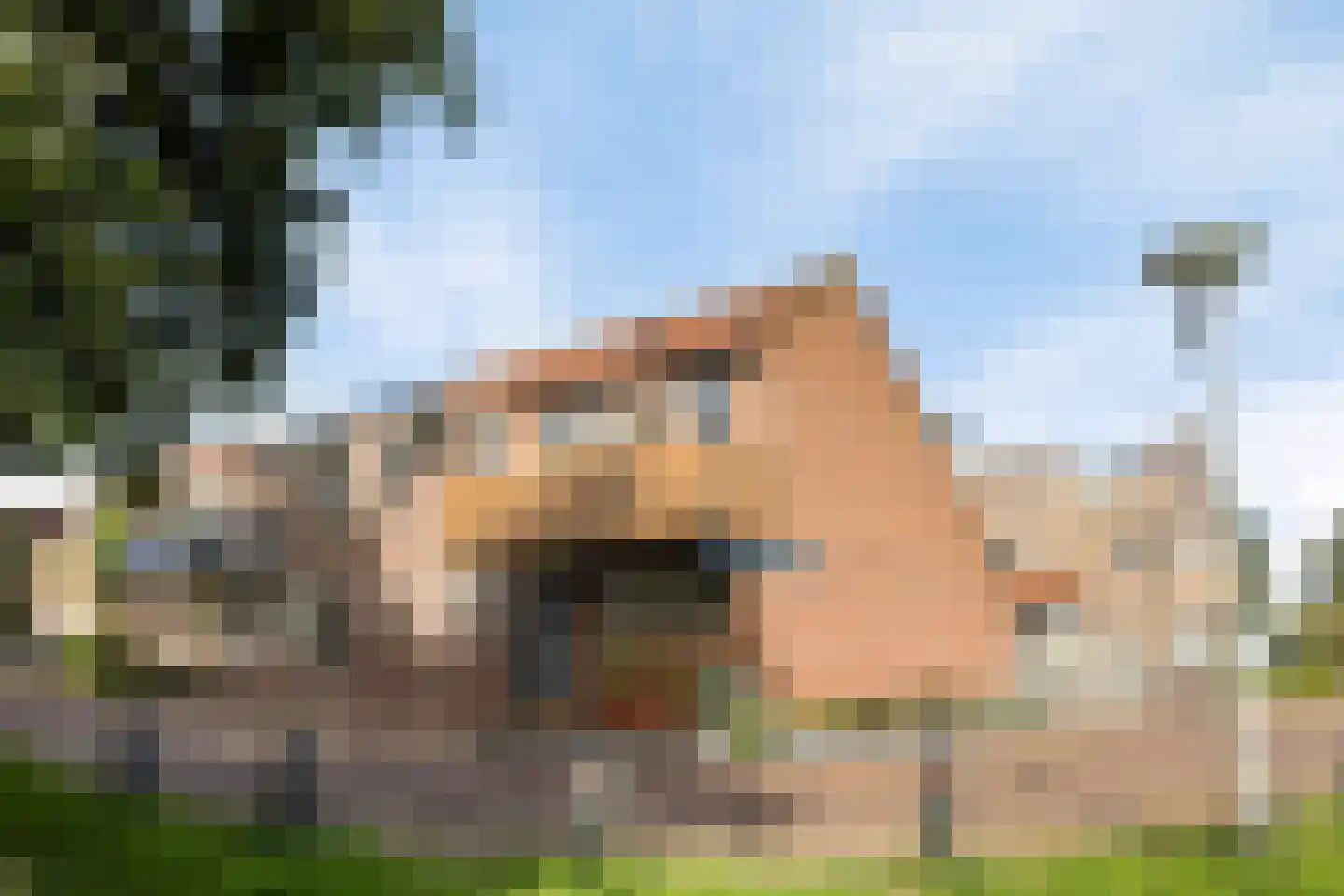 De Maar 17 Muiderberg thumbnail 41