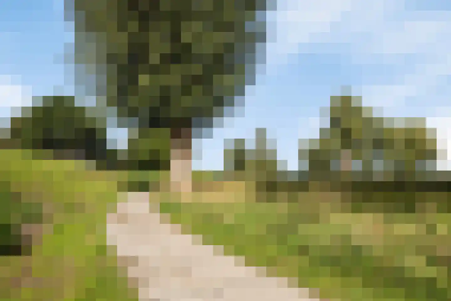 De Maar 17 Muiderberg thumbnail 57