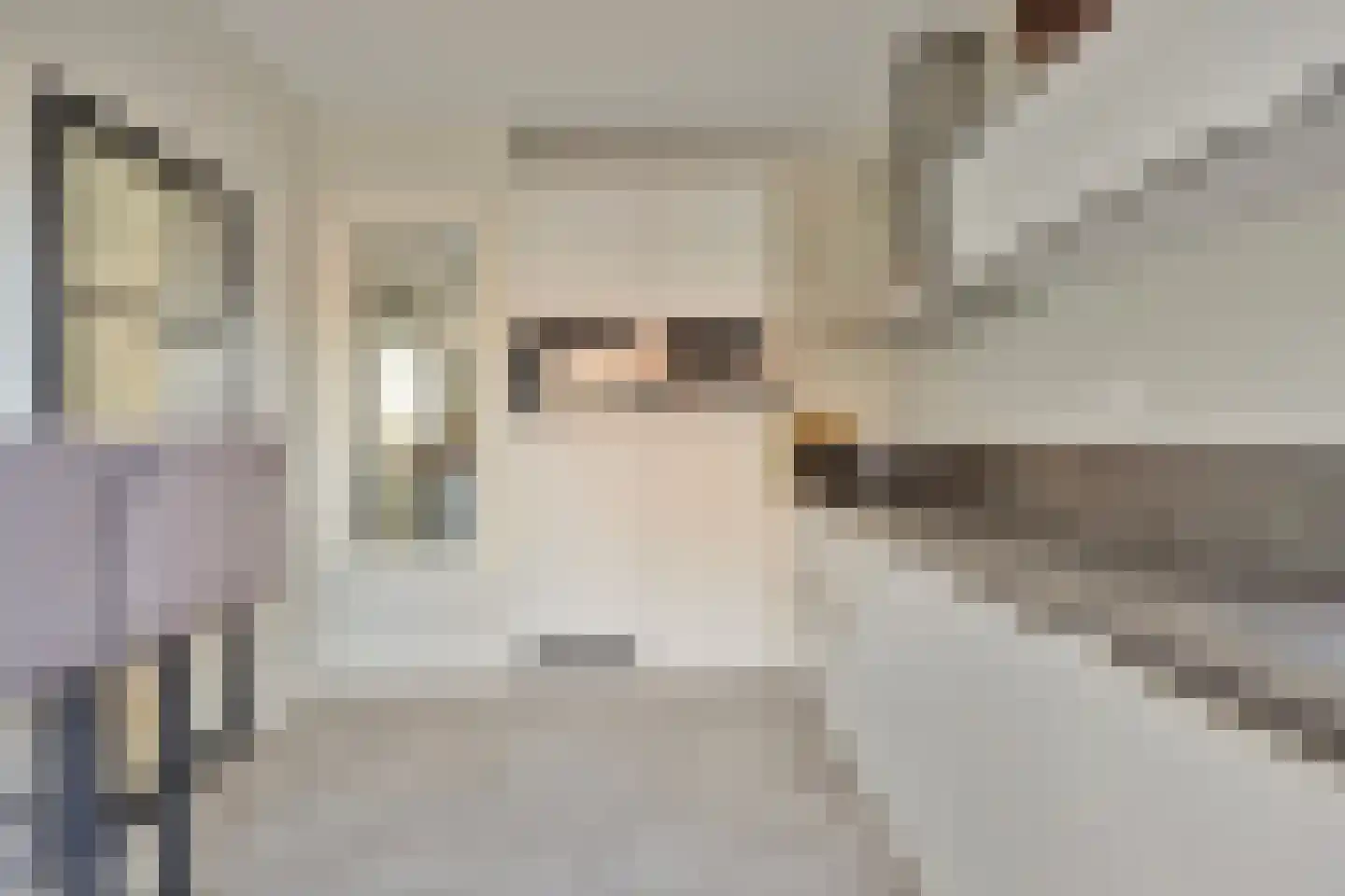 De Maar 17 Muiderberg thumbnail 9