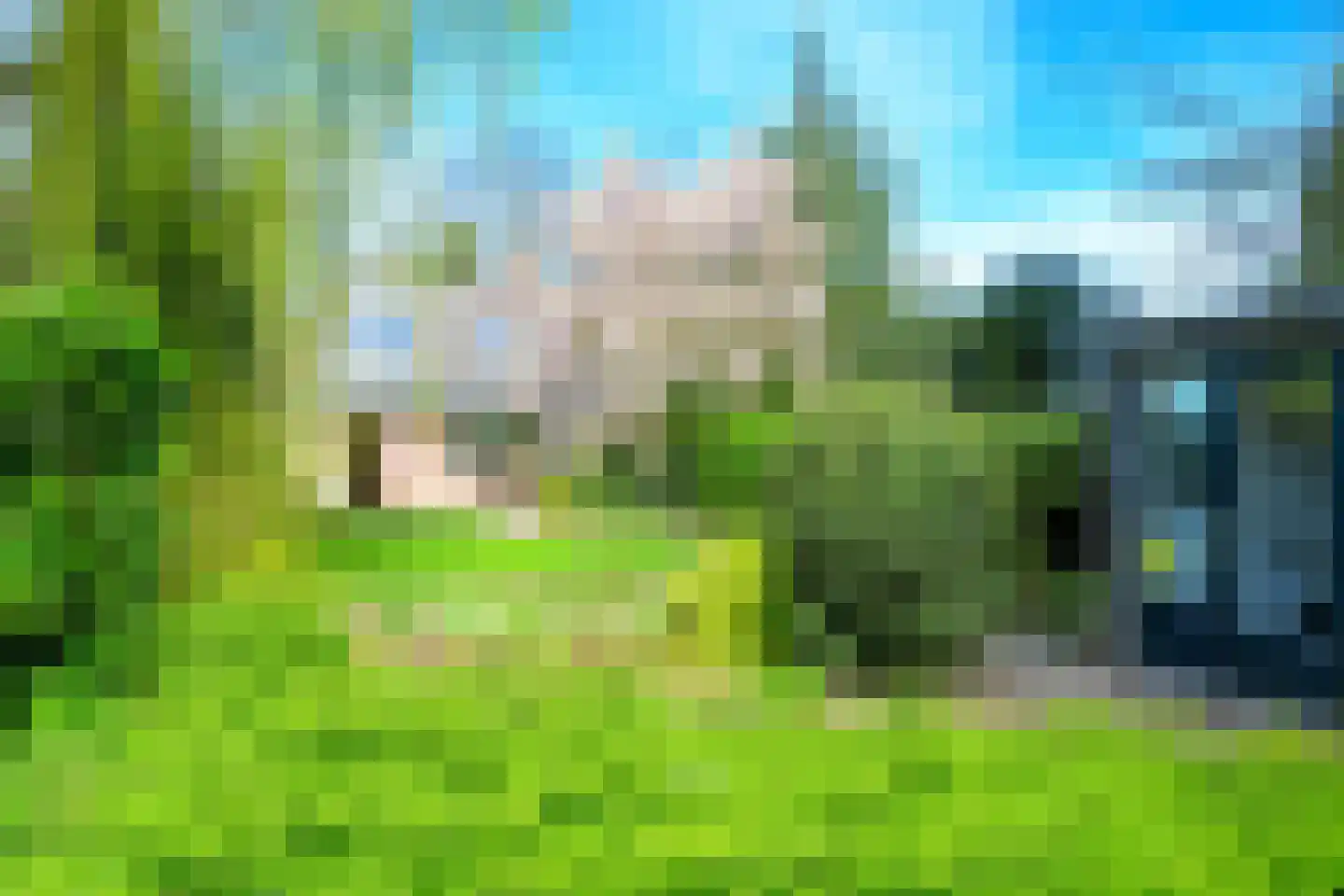 De Maar 29 Twisk thumbnail 42