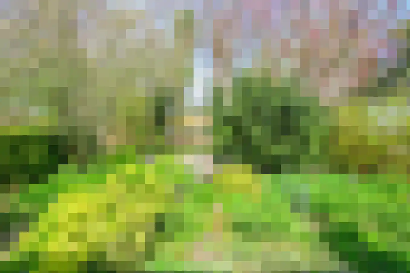De Maar 29 Twisk thumbnail 46