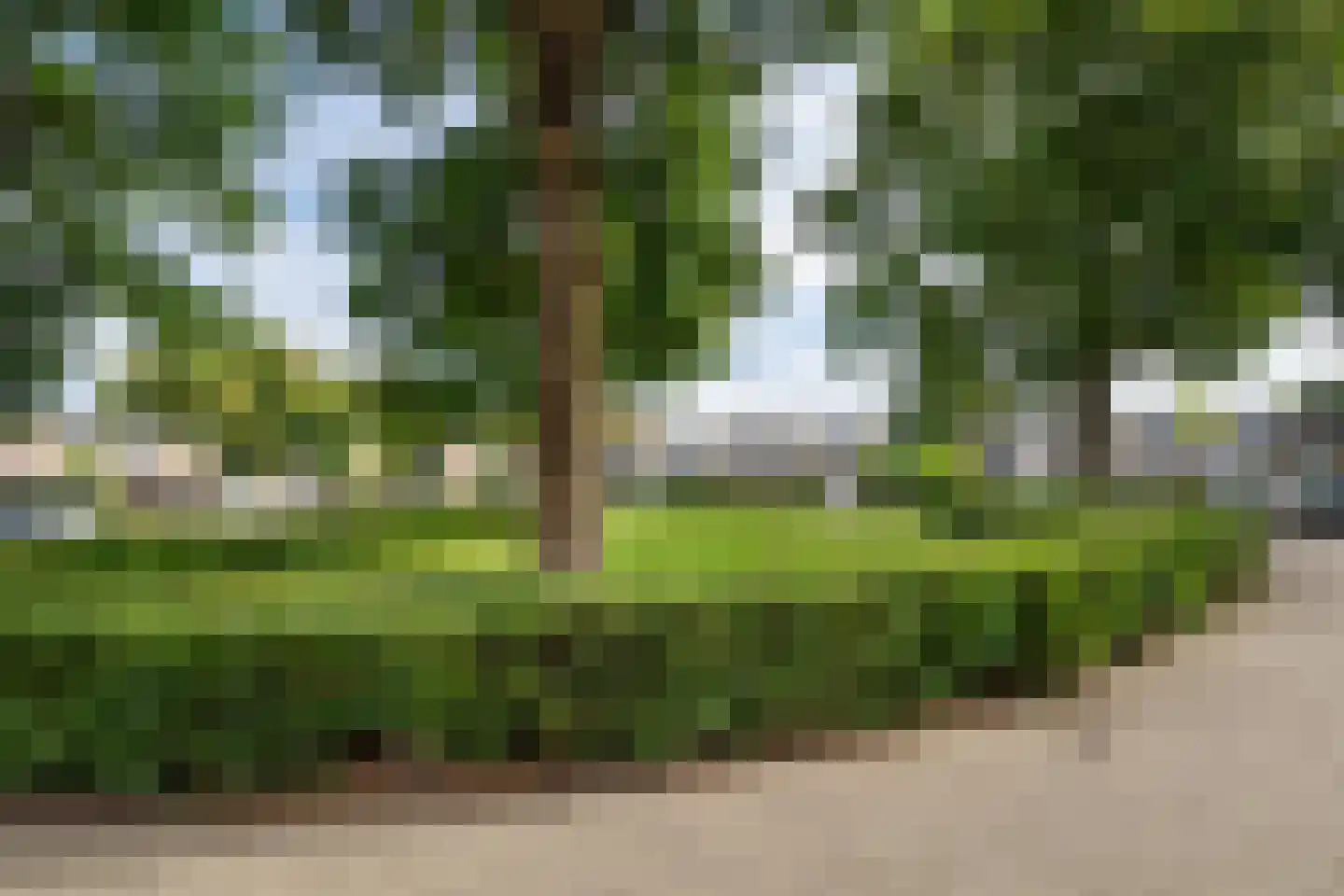 De Maar 31 Landgraaf thumbnail 26