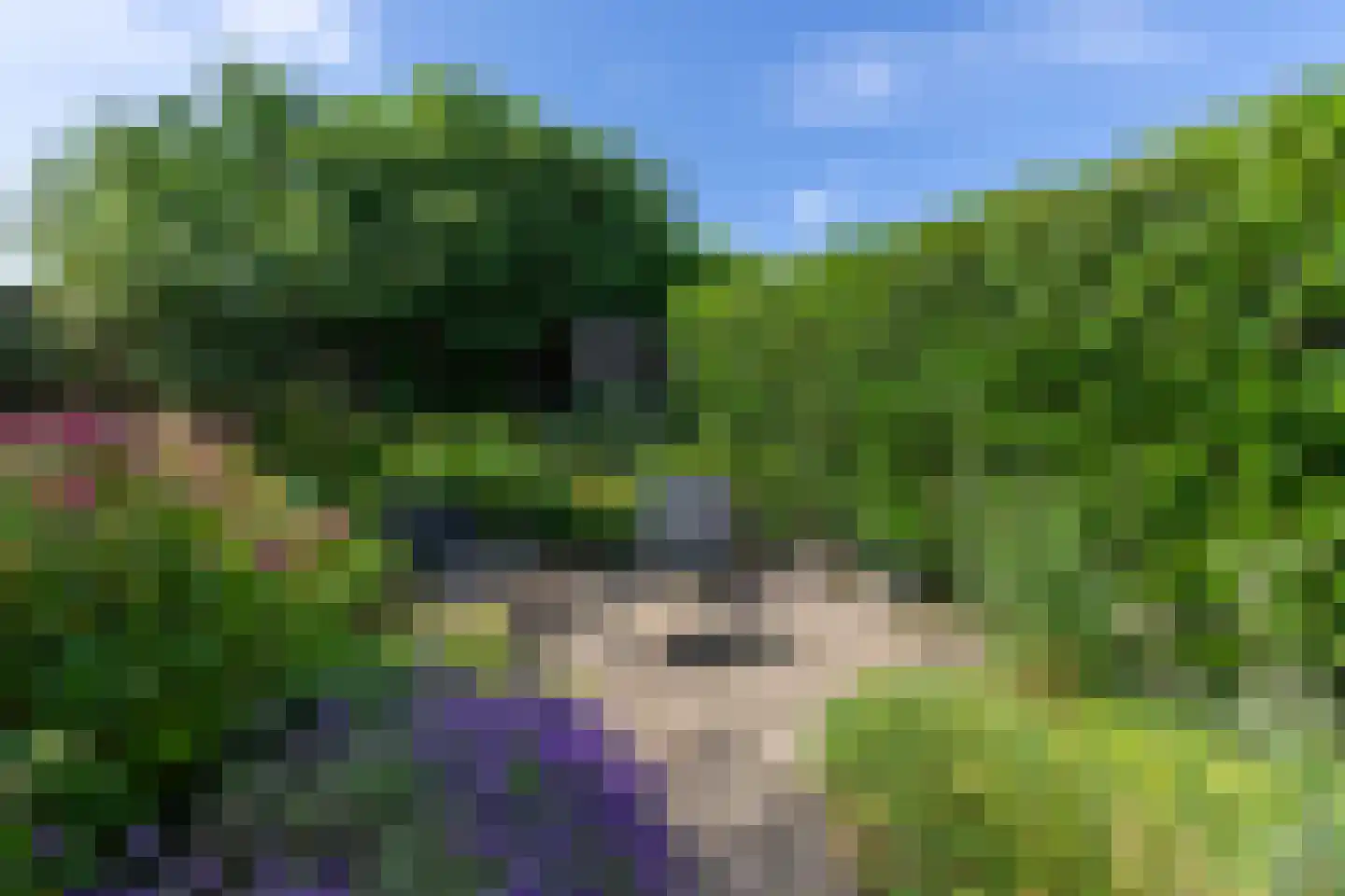 De Maar 36 Landgraaf thumbnail 21