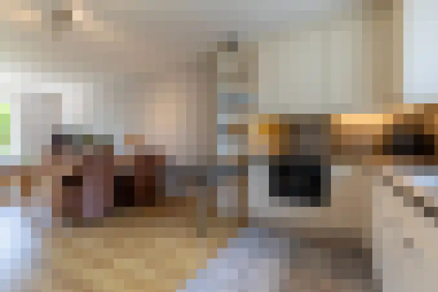 De Maar 36 Landgraaf thumbnail 8