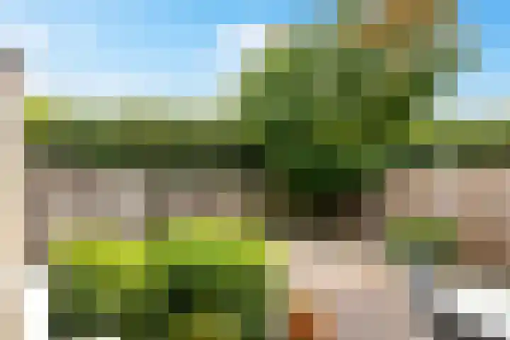 De Maar 6 Landgraaf thumbnail 18
