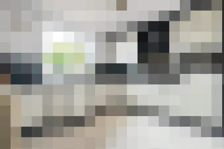 De Maar 6 Landgraaf thumbnail 5