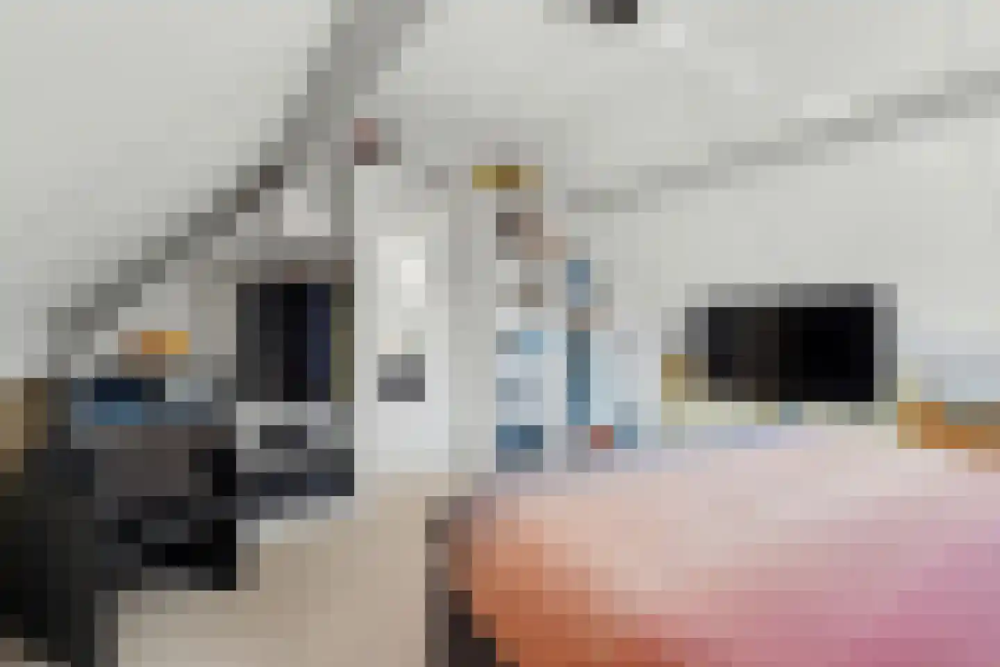 De Maashoven 11 Nieuwkuijk thumbnail 21