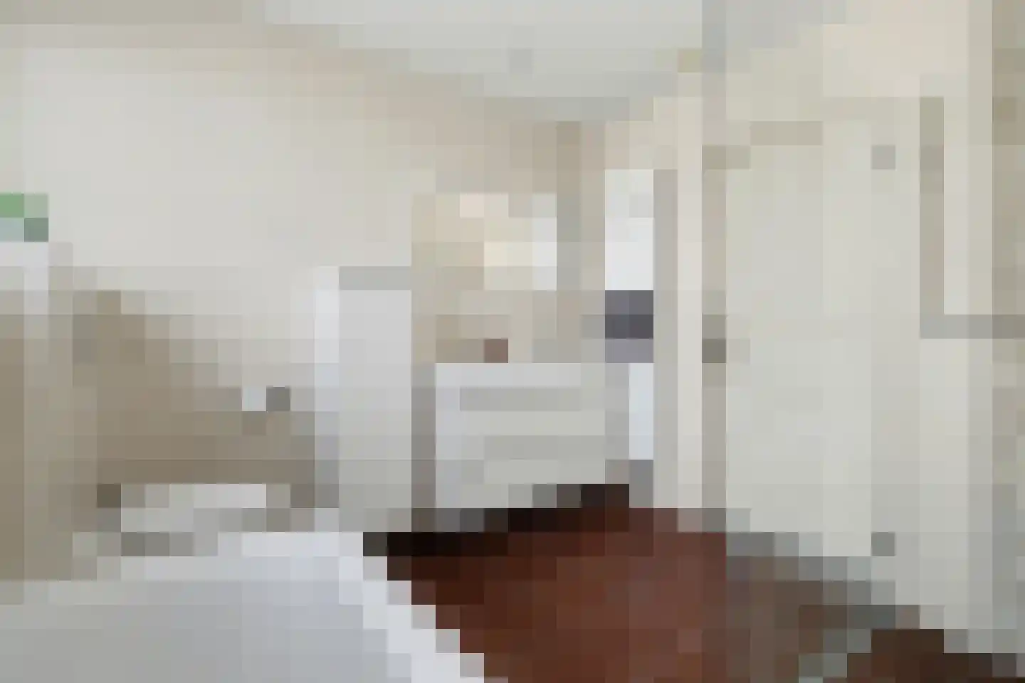 De Maashoven 11 Nieuwkuijk thumbnail 24