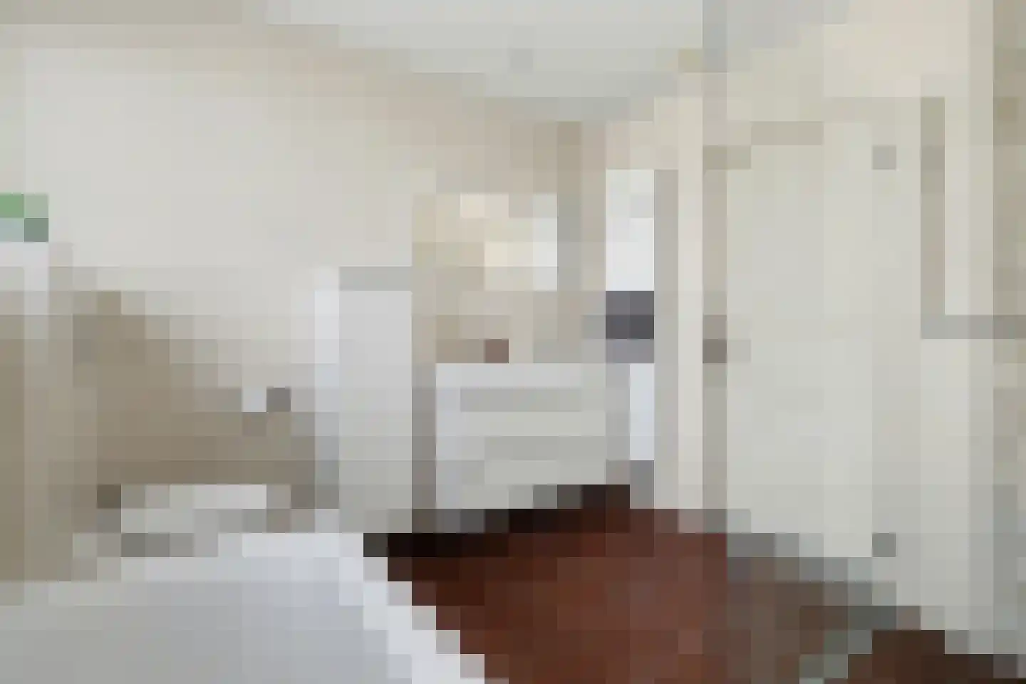 De Maashoven 11 Nieuwkuijk thumbnail 24
