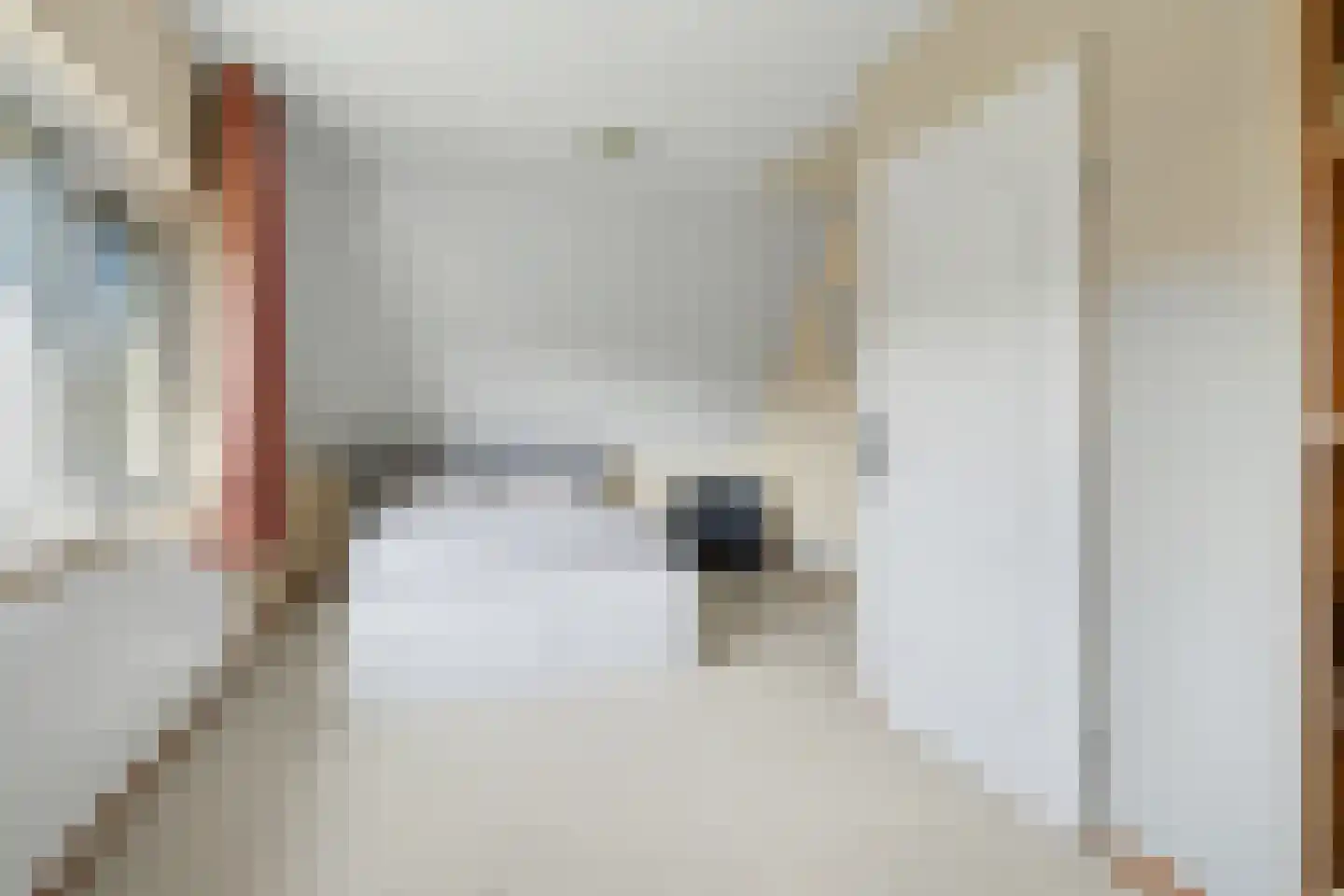 De Maashoven 11 Nieuwkuijk thumbnail 26