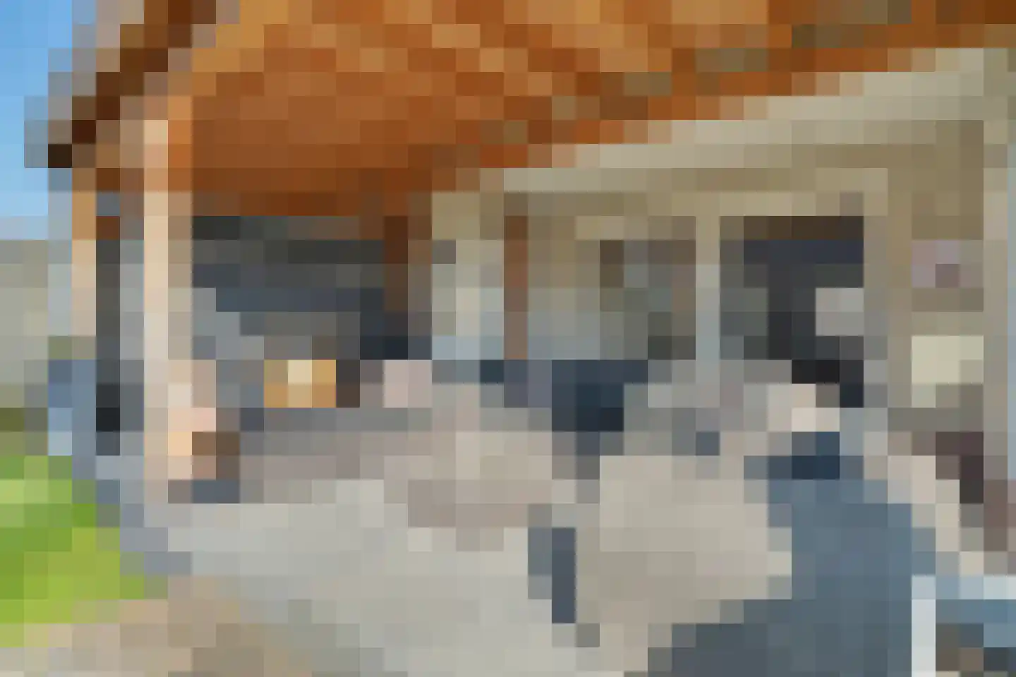 De Maashoven 11 Nieuwkuijk thumbnail 31