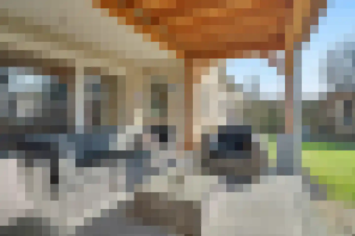 De Maashoven 11 Nieuwkuijk thumbnail 32