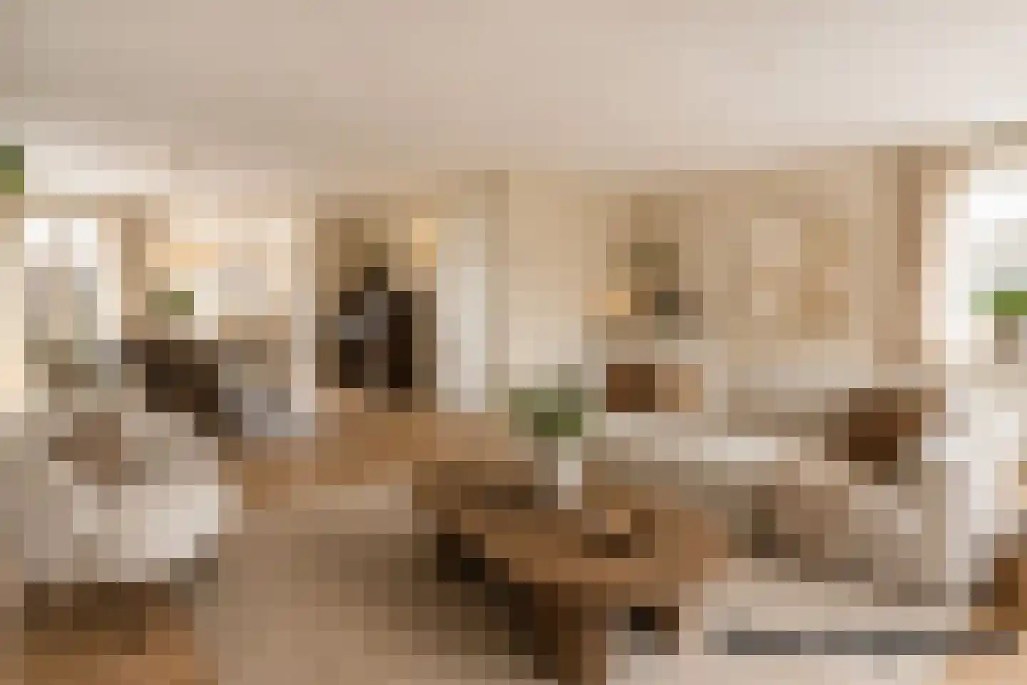 De Maat 6 Kampen foto 2