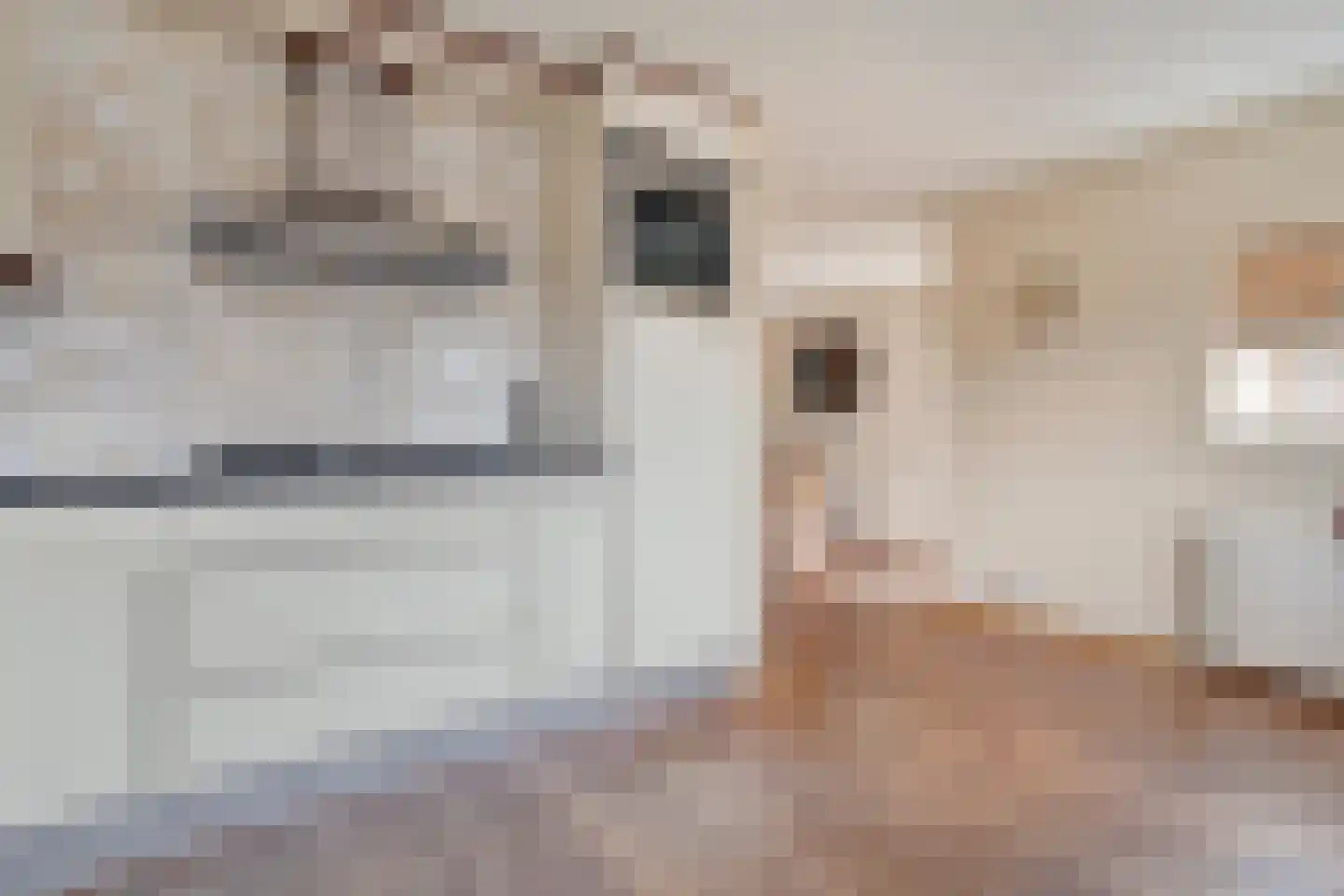 De Maat 6 Kampen thumbnail 20