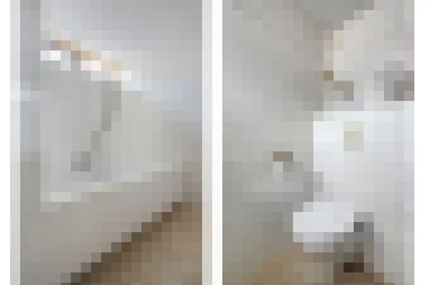 De Maat 6 Kampen thumbnail 34