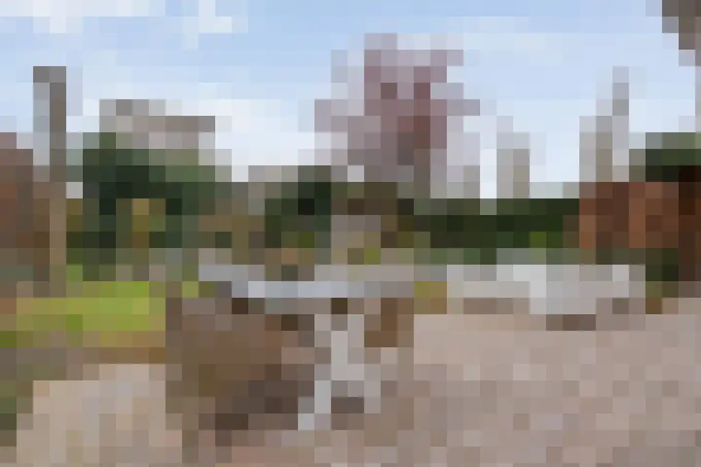 De Maat 6 Kampen thumbnail 42