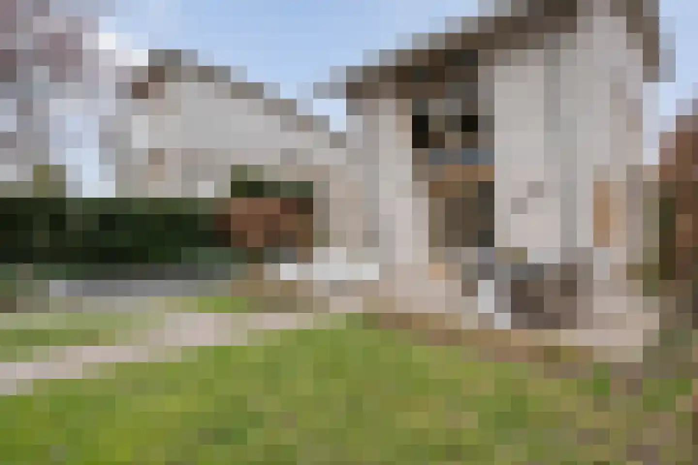 De Maat 6 Kampen thumbnail 44