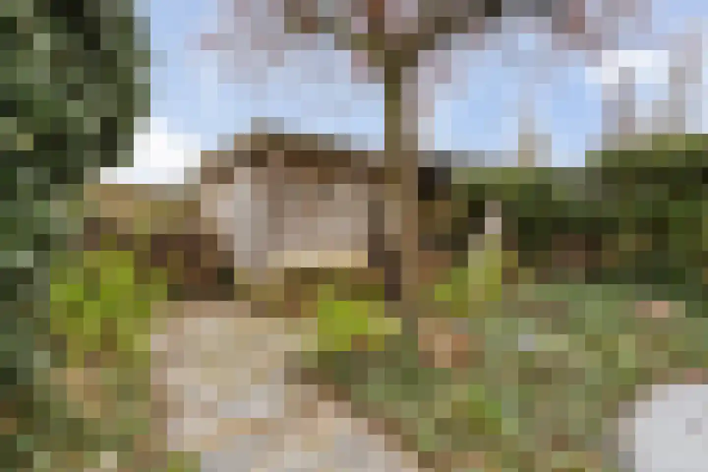 De Maat 6 Kampen thumbnail 48