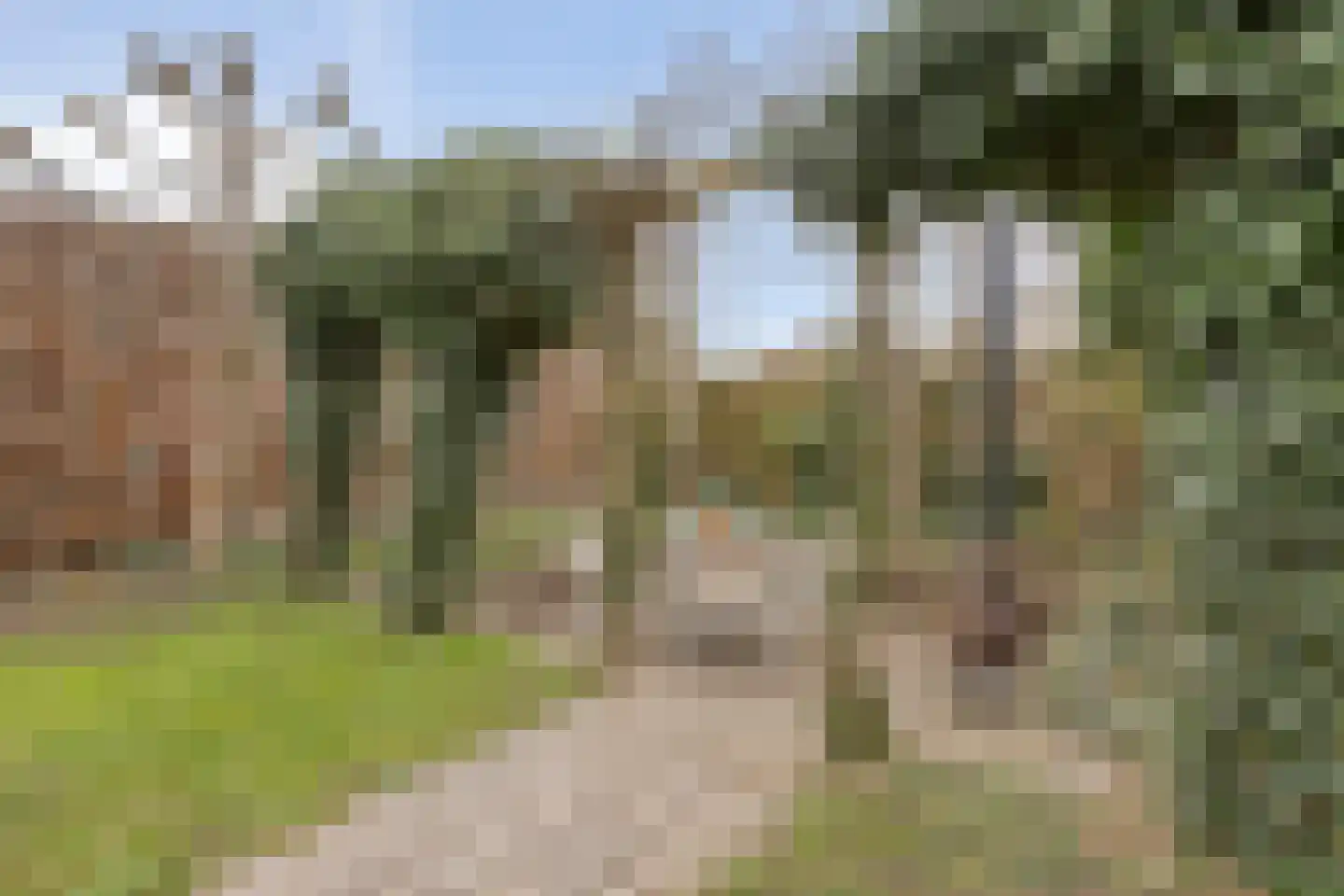 De Maat 6 Kampen thumbnail 49