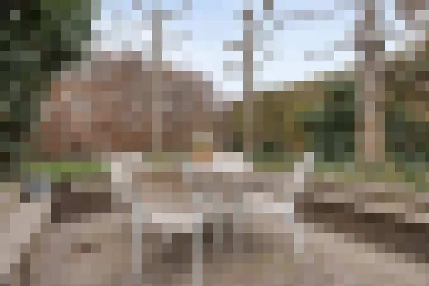 De Maat 6 Kampen thumbnail 50