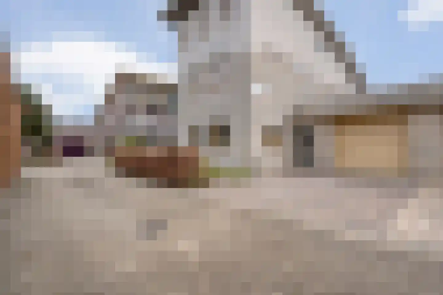De Maat 6 Kampen thumbnail 55