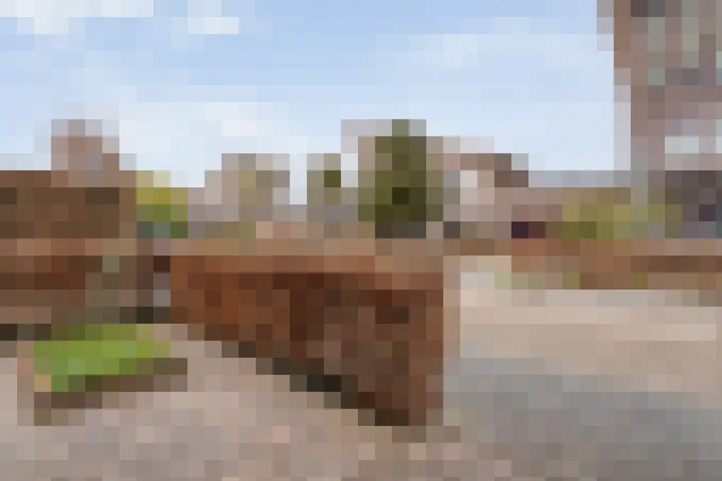 De Maat 6 Kampen thumbnail 60