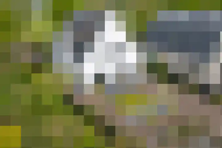 De Maat 8 d Woudenberg foto 2