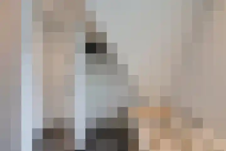 De Maat 8 d Woudenberg thumbnail 35