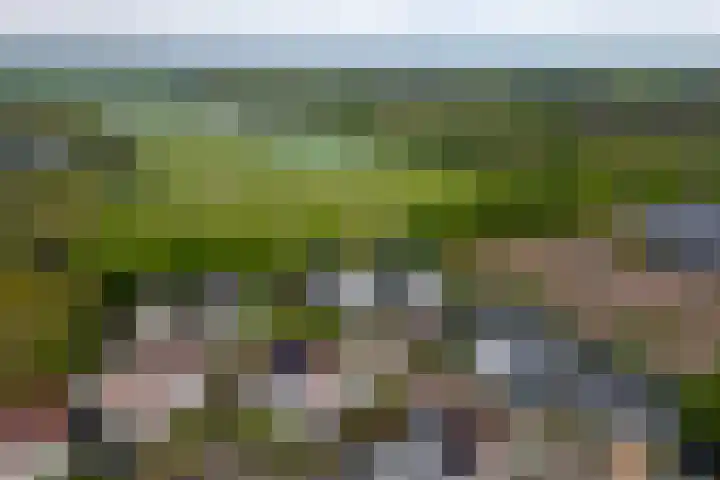 De Maat 8 d Woudenberg thumbnail 4