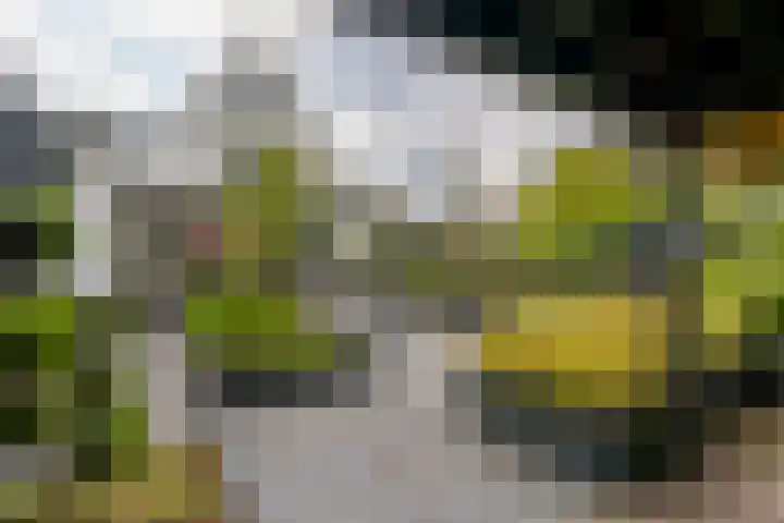 De Maat 8 d Woudenberg thumbnail 40