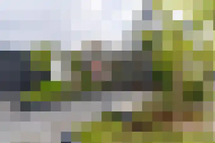 De Maat 8 d Woudenberg thumbnail 41