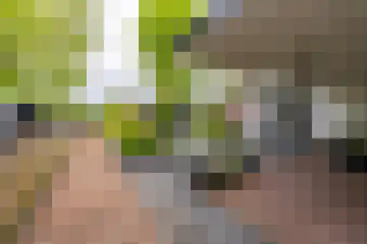 De Maat 8 d Woudenberg thumbnail 42
