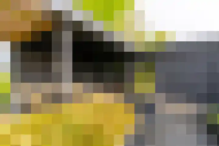 De Maat 8 d Woudenberg thumbnail 43