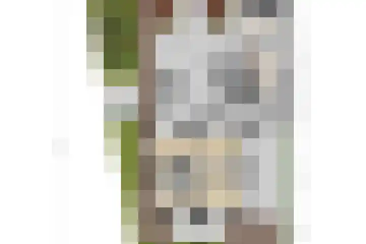 De Maat 8 d Woudenberg thumbnail 50