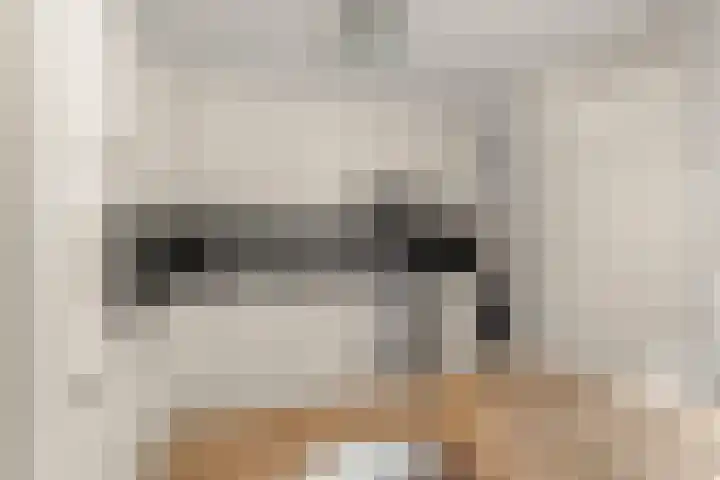 De Maatjes 81 Duiven thumbnail 12