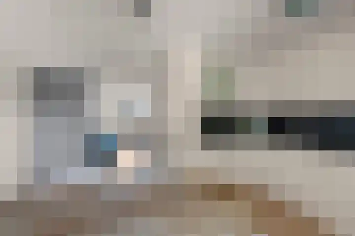 De Maatjes 81 Duiven thumbnail 13
